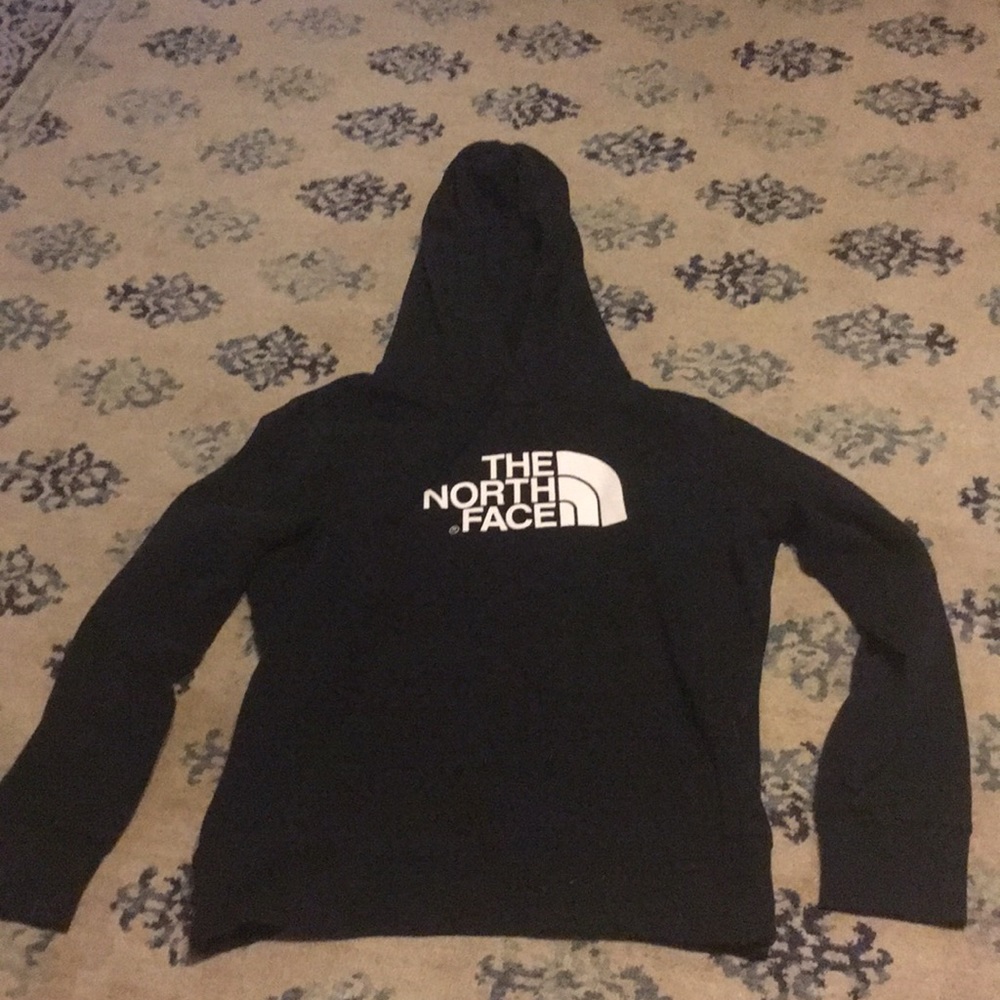 The north face hoodie